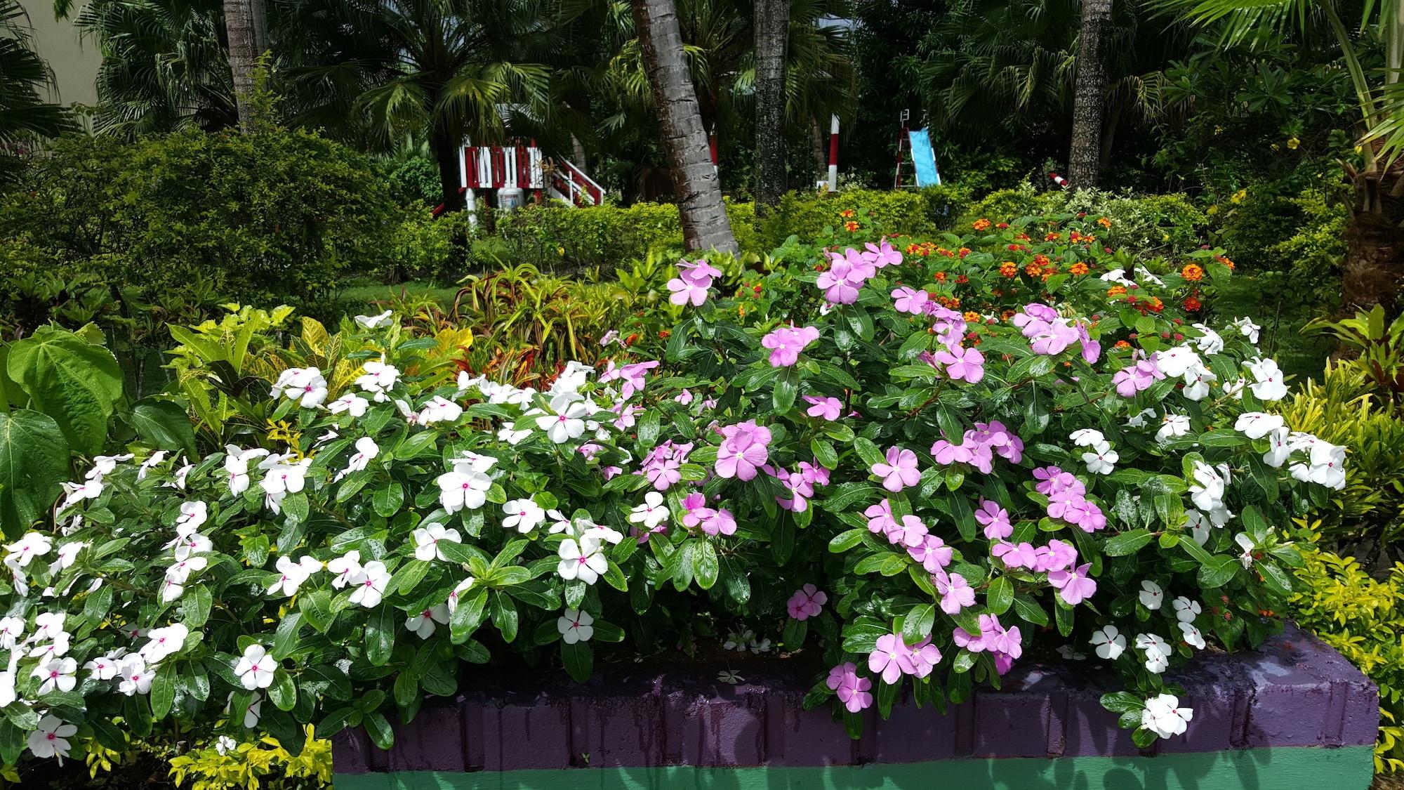 Grand West Villas Nadi Eksteriør billede